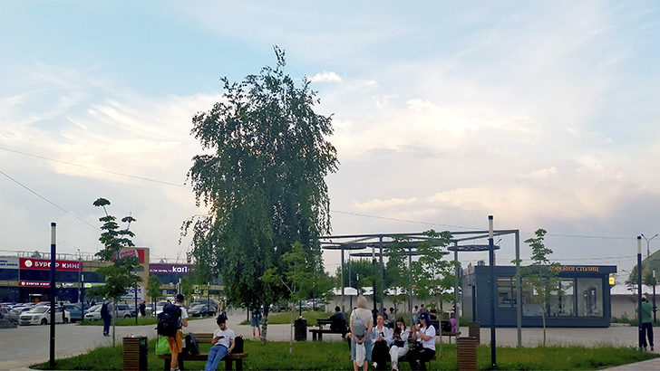 Фото В.Кузьмин (лето, 2025)