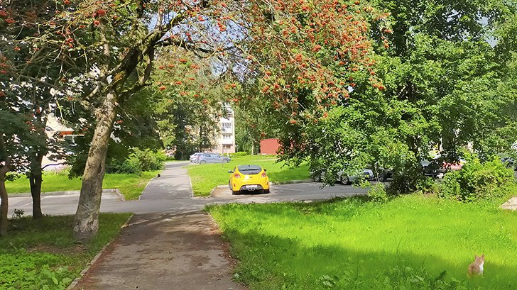 Фото В.Кузьмин (лето, 2025)