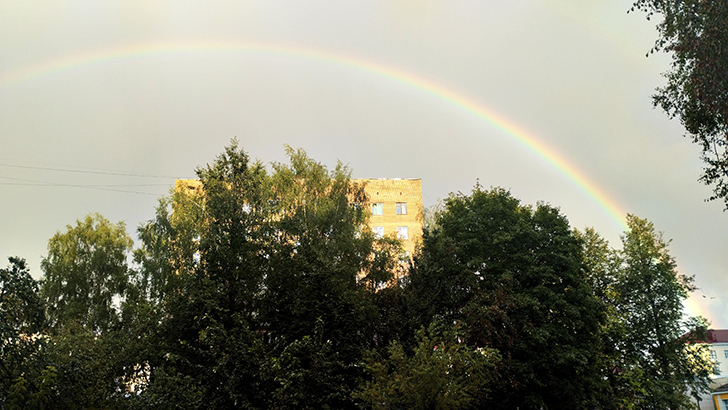 Фото В.Кузьмин (лето, 2025)