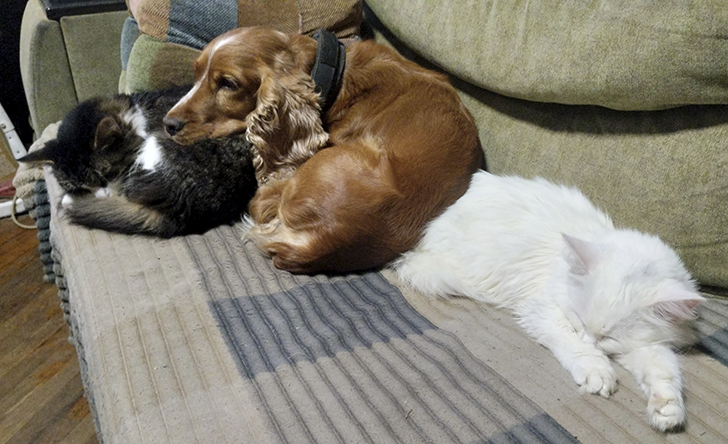 Фото В.Кузьмин (лето, 2025)