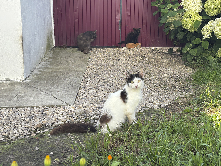 В живописном городе Болхов (фото Олег Д., июль, 2025)