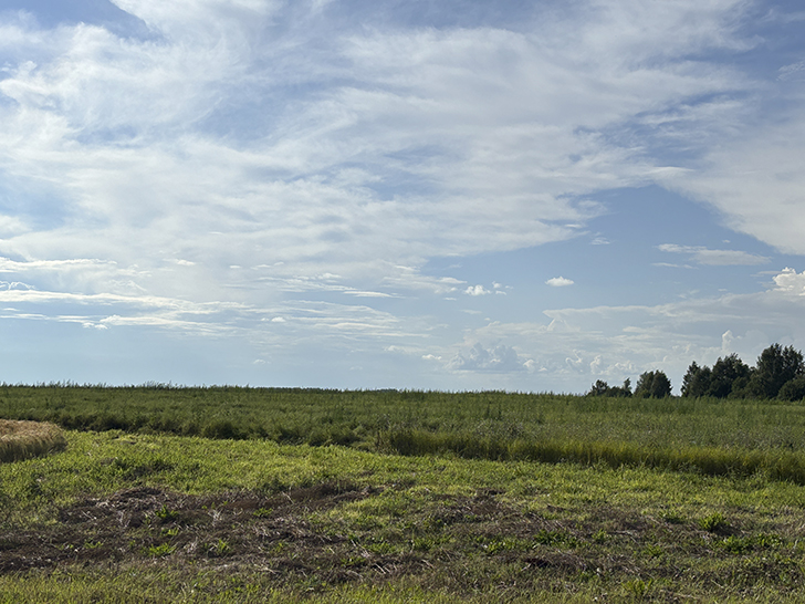 В живописном городе Болхов (фото Олег Д., июль, 2025)
