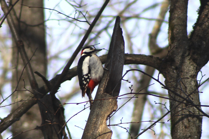 Фото В.Кузьмин (лето, 2025)