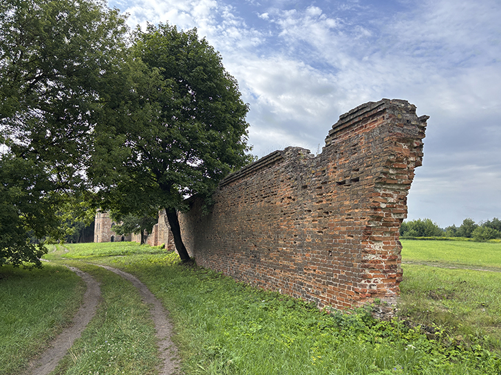 Усадьба Каменских: величественный архитектурный памятник Орловщины (фото Олег Д., июль, 2025)