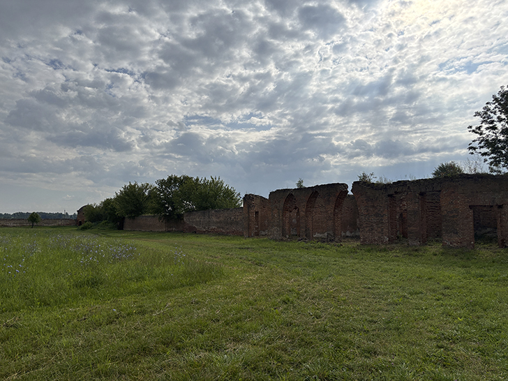 Усадьба Каменских: величественный архитектурный памятник Орловщины (фото Олег Д., июль, 2025)