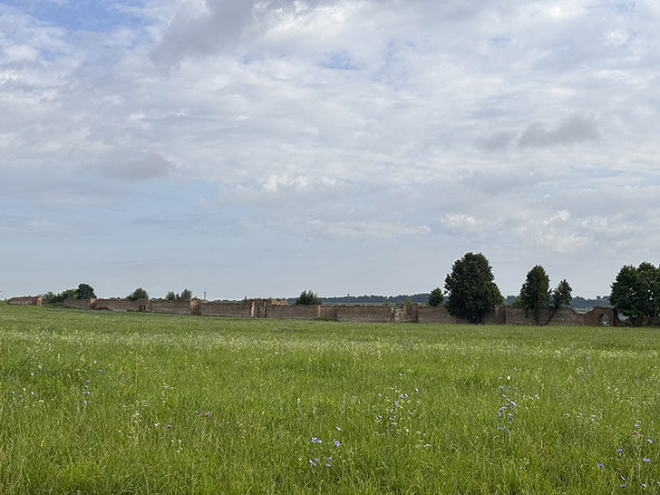 Усадьба Каменских: величественный архитектурный памятник Орловщины (фото Олег Д., июль, 2025)