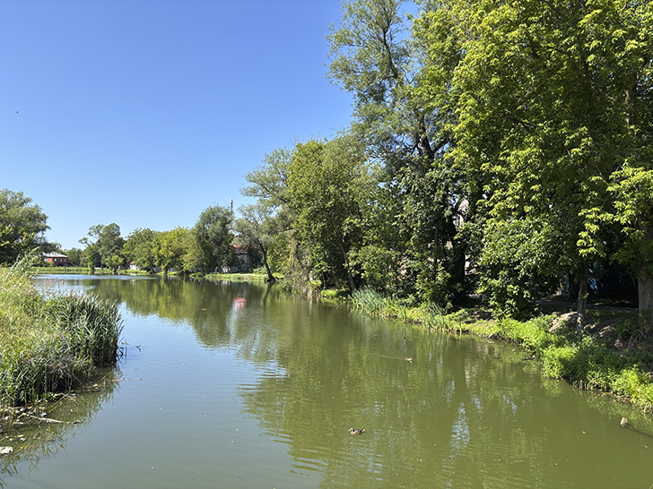 Егорьевск: маленькое путешествие в большую историю (фото Олег Д., июль, 2025)