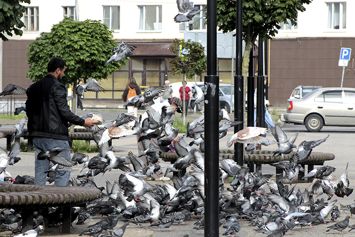 Фото В.Кузьмин (лето, 2025)