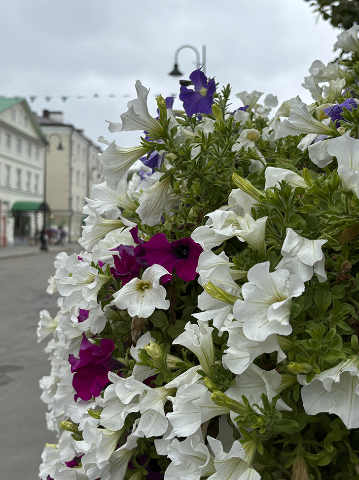 Старая Татарская слобода (фото Олег Д., июль, 2024)