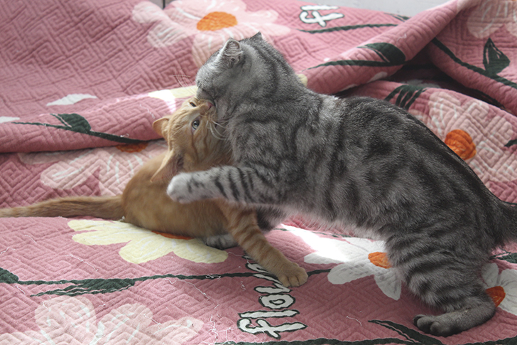 Фото В.Кузьмин (лето, 2025)