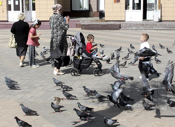 Фото В.Кузьмин (лето, 2025)