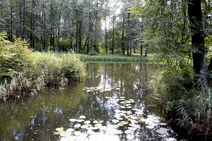 Фото В.Кузьмин (лето, 2025)