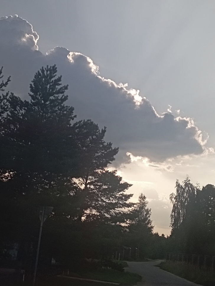 Солнце спряталось за тучку, значит скоро клюнет щучка (фото В.Молодцова, лето, 2025)