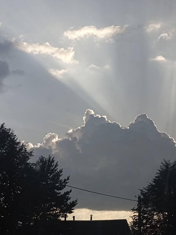 Солнце спряталось за тучку, значит скоро клюнет щучка (фото В.Молодцова, лето, 2025)