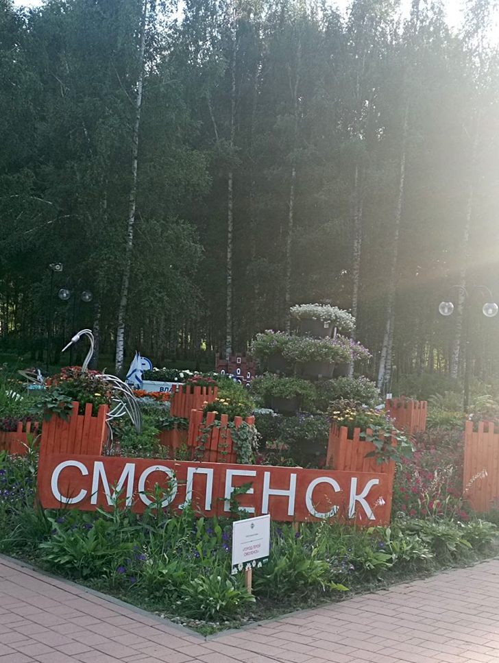 Парк «Вальс цветов» (фото В.Молодцова, август, 2025)