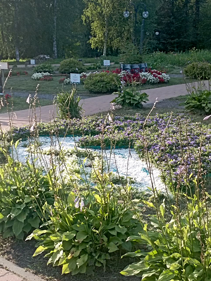 Парк «Вальс цветов» (фото В.Молодцова, август, 2025)