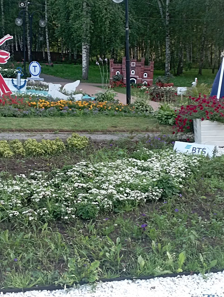 Парк «Вальс цветов» (фото В.Молодцова, август, 2025)