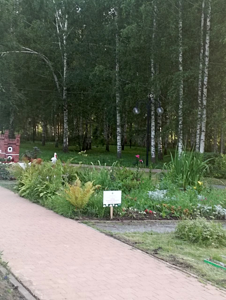 Парк «Вальс цветов» (фото В.Молодцова, август, 2025)