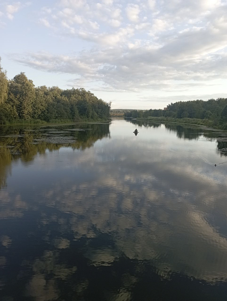 Река Сестра в г. Клин (фото В.Молодцова, лето, 2025)