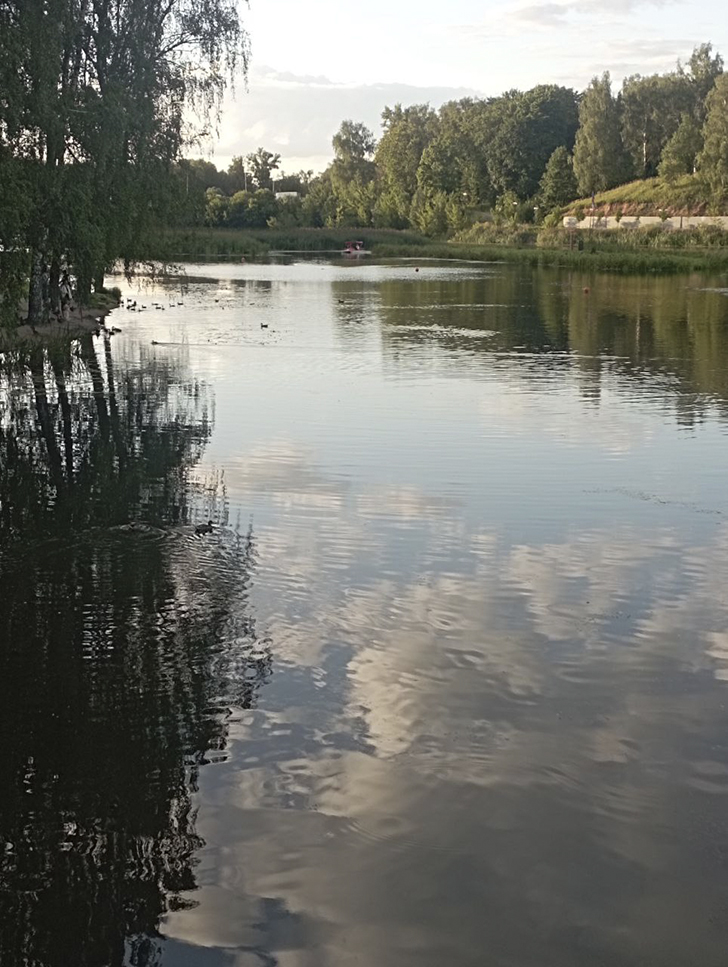 Река Сестра в г. Клин (фото В.Молодцова, лето, 2025)