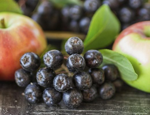 Черноплодная рябина с яблоками — классическое сочетание