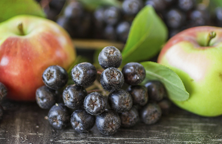 Черноплодная рябина с яблоками — классическое сочетание