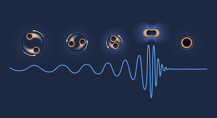 Процесс слияния черных дыр. Credit: Lucy Reading-Ikkanda/Simons Foundation