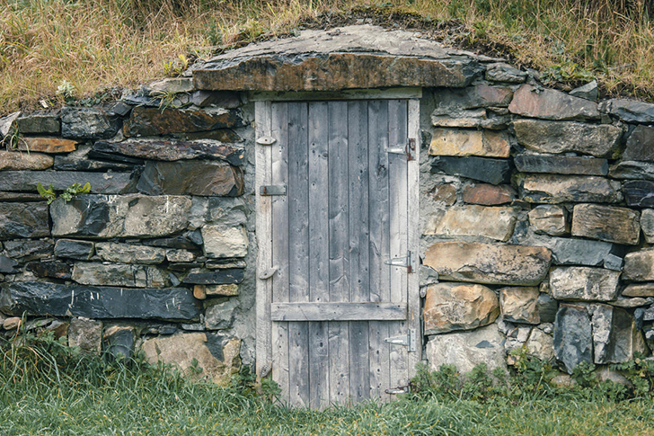 Трава на крыше погреба защищает его от солнца и укрепляет корнями грунт