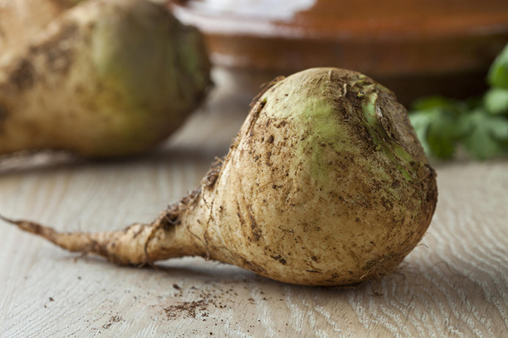 Брюква любит влагу, но не застой воды