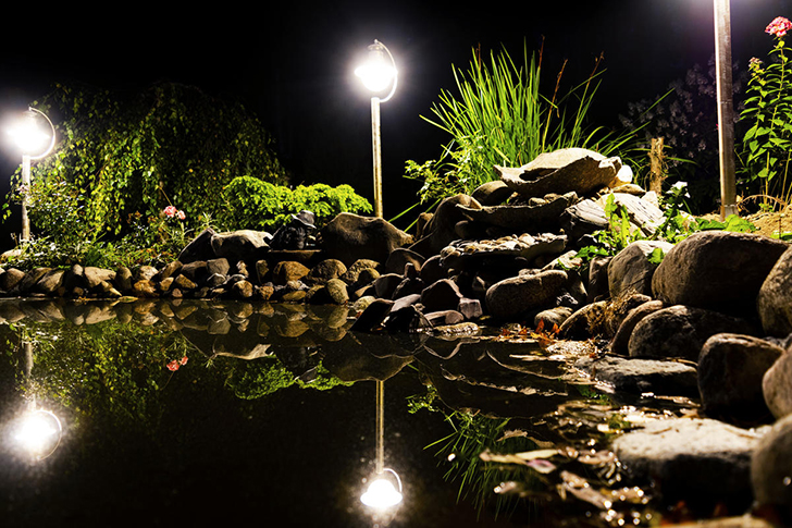 Сделайте свой пруд не только красивым, но и безопасным