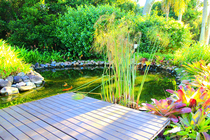 К прудам для содержания рыбы предъявляются дополнительные требования