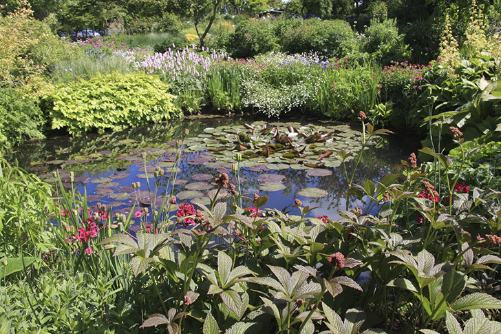 Легкая заброшенность лишь кажется такой. На самом деле прибрежные посадки тщательно продуманы и ухожены