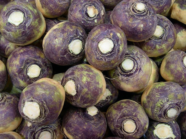 Брюква сорт 'Гера'