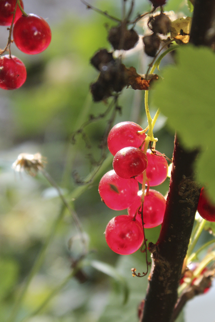 Фото В.Кузьмин (сентябрь, 2025)