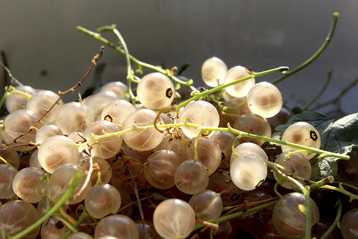 Фото В.Кузьмин (сентябрь, 2025)