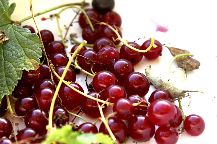 Фото В.Кузьмин (сентябрь, 2025)