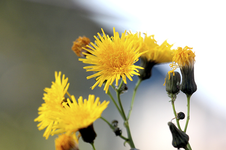 Фото В.Кузьмин (сентябрь, 2025)