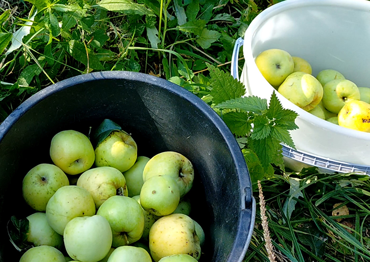 Фото В.Кузьмин (сентябрь, 2025)