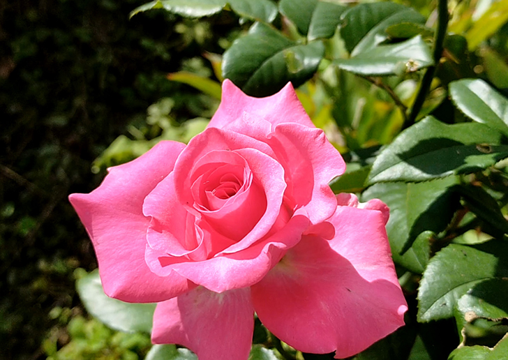 Фото В.Кузьмин (сентябрь, 2025)