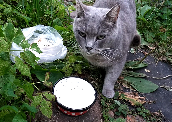 Фото В.Кузьмин (сентябрь, 2025)