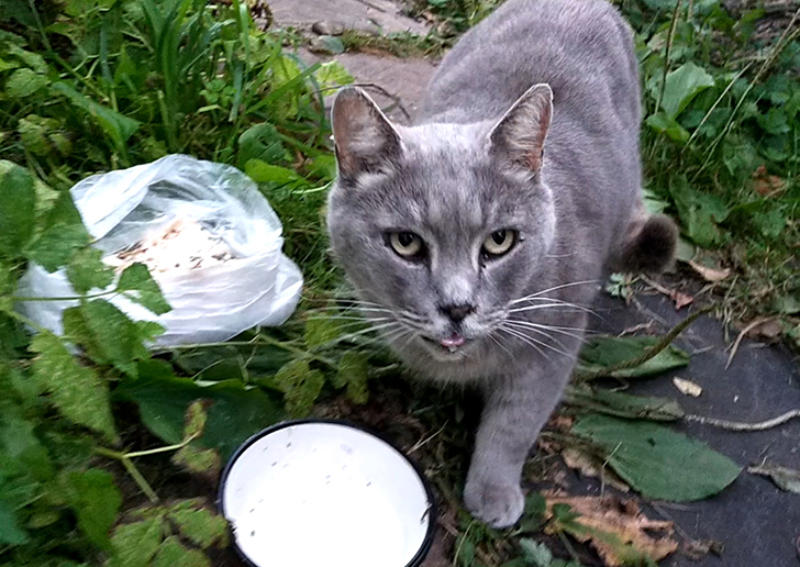 Фото В.Кузьмин (сентябрь, 2025)