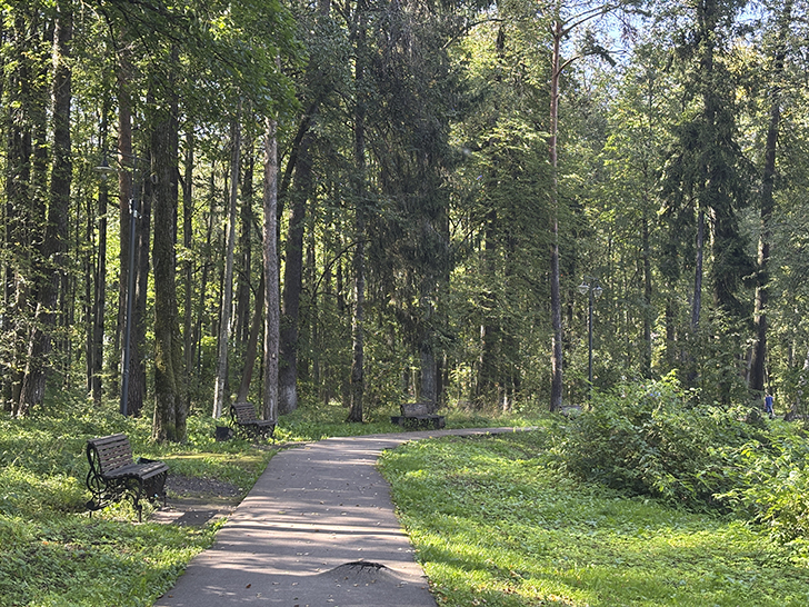 Прогулка по Клину в день города (фото Олег Д., август, 2025)