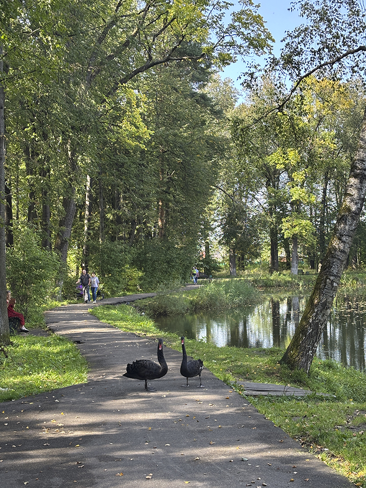 Прогулка по Клину в день города (фото Олег Д., август, 2025)