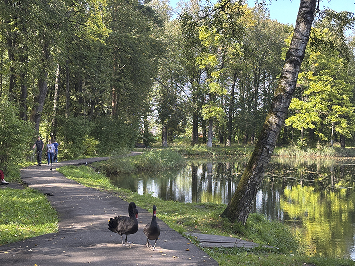 Прогулка по Клину в день города (фото Олег Д., август, 2025)