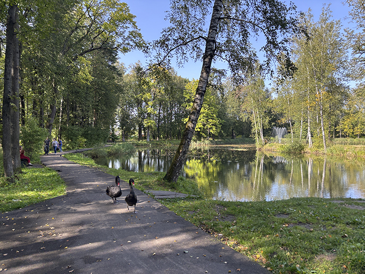 Прогулка по Клину в день города (фото Олег Д., август, 2025)