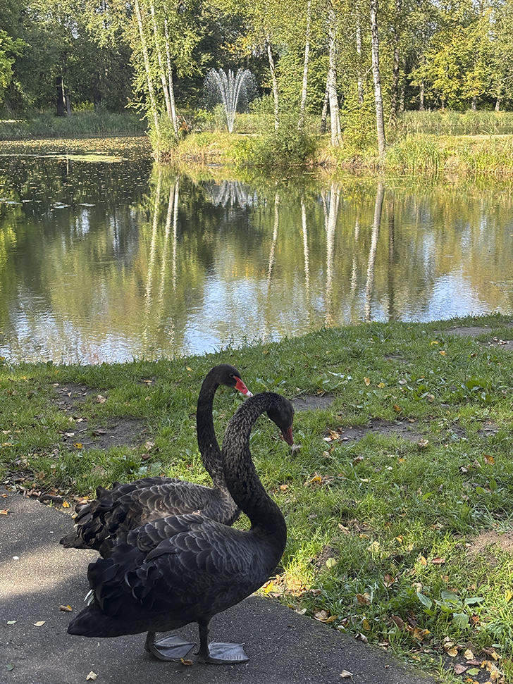 Прогулка по Клину в день города (фото Олег Д., август, 2025)