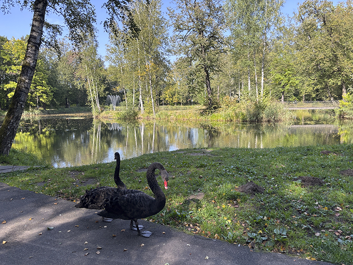 Прогулка по Клину в день города (фото Олег Д., август, 2025)