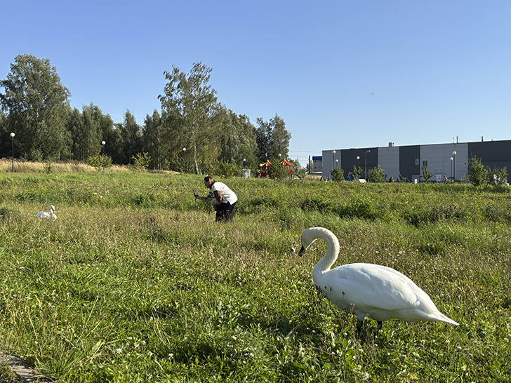 Прогулка по Клину в день города (фото Олег Д., август, 2025)
