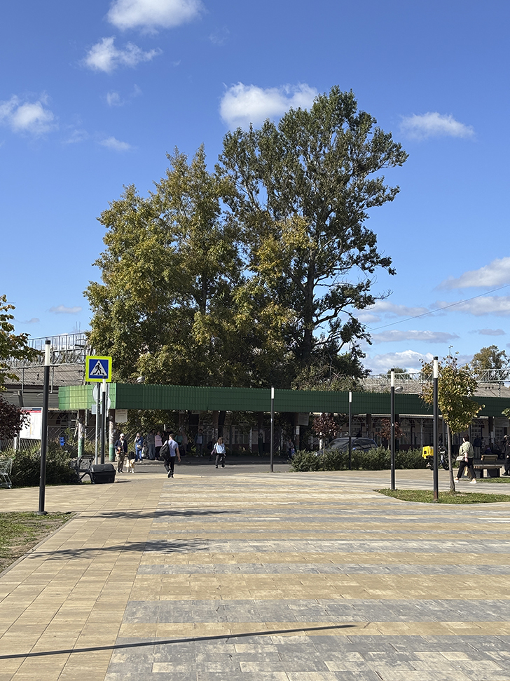 Прогулка по городу Клин (фото Олег Д., сентябрь, 2025)