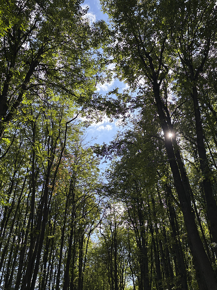 Прогулка по городу Клин (фото Олег Д., сентябрь, 2025)